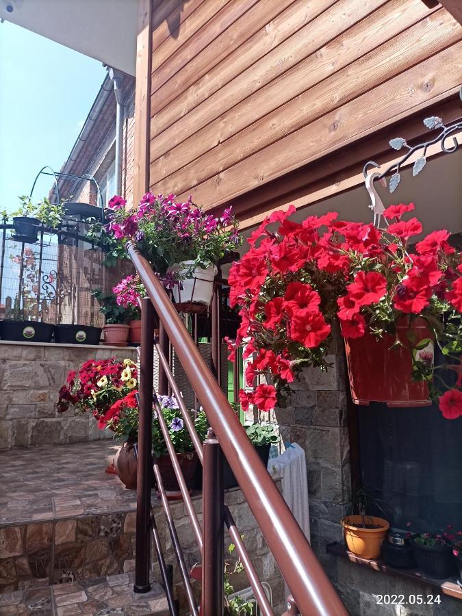 Hotel Damaris Sozopol Exterior foto